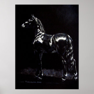 Póster Plata oscura