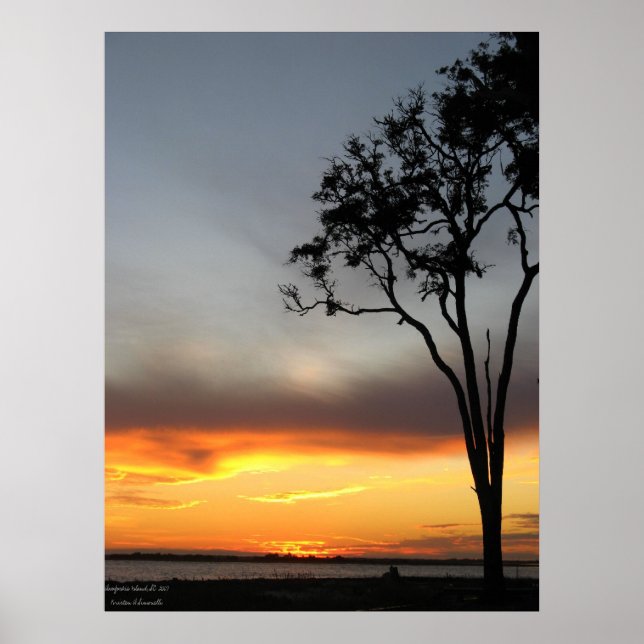 Póster plata y oro (Frente)