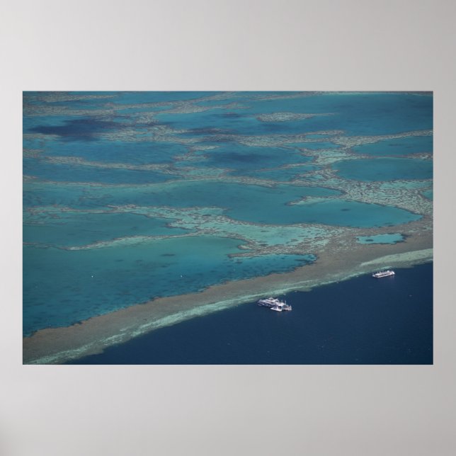 Póster Plataformas de buceo cerca del arrecife, Gran Barr (Frente)