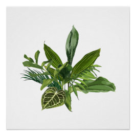 Póster Plátano tropical de palma y hojas exóticas.