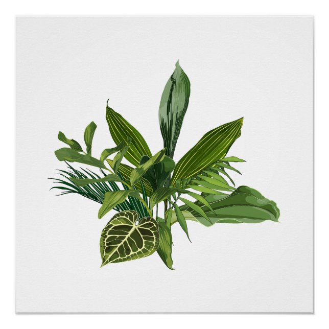 Póster Plátano tropical de palma y hojas exóticas. (Anverso)