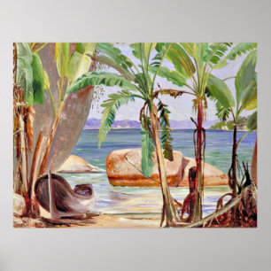 Póster Plátanos y rocas en Paqueta (Brasil),