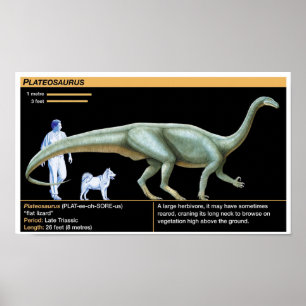 Póster Plateosaurus - Biología Jurásico