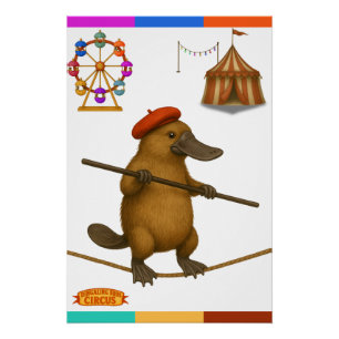 Póster Plato ornitorrinco equilibrista