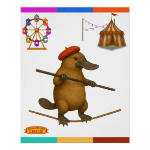Póster Plato ornitorrinco equilibrista