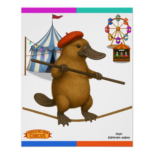 Póster Plato ornitorrinco, equilibrista (Anverso)
