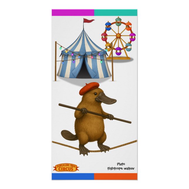 Póster Plato ornitorrinco, equilibrista (Anverso)