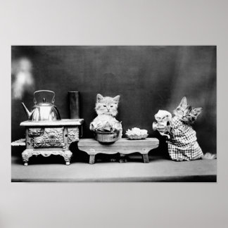 Póster Platos de lavado de gatitos - Harry Whittier grati