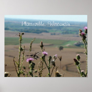 Póster Platteville, Poster de Wisconsin