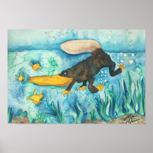 Póster "Platty" el Platypus por Mike Quinn (Frente)