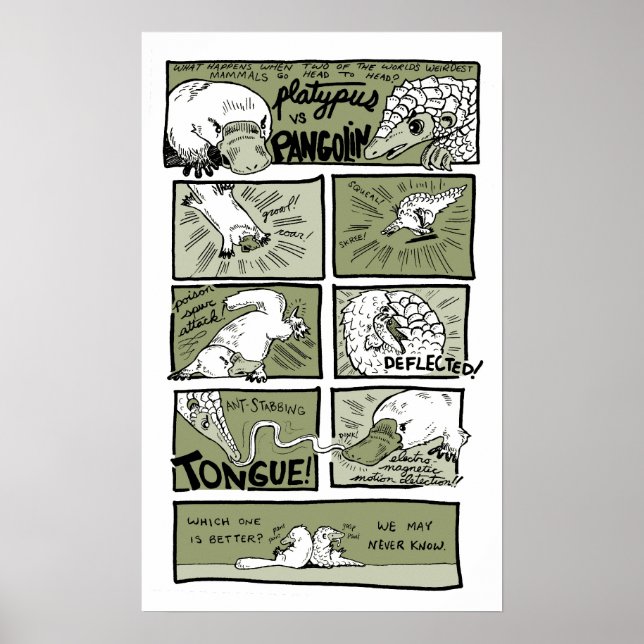 Póster Platypus vs. Pangolin (Frente)