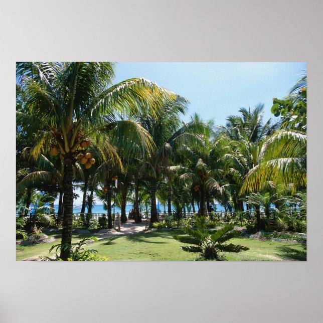 Póster Playa (Frente)