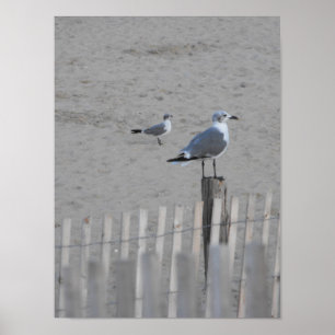 Póster Playa ~ 25,5