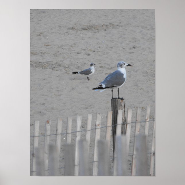 Póster Playa ~ 25,5 (Frente)