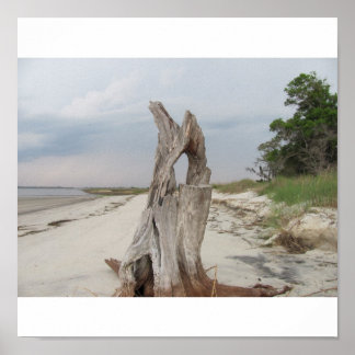 Póster playa a la deriva Imprimir