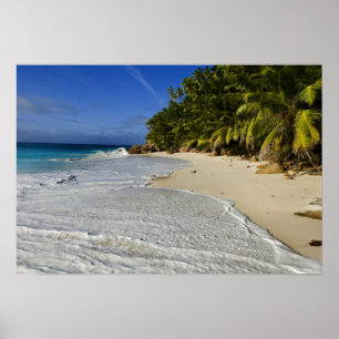 Póster Playa Anse Victorin 2