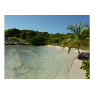 Póster Playa Antigua Hermoso Paisaje Tropical
