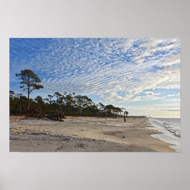 Póster Playa Audubon Bird Refuge, Isla Dauphin, Alabama (Frente)