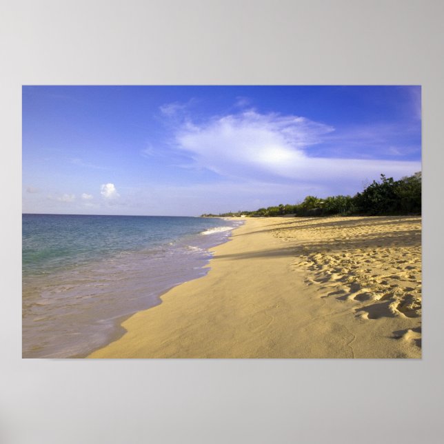 Póster playa Baie Longue Long Bay, St. Martin, (Frente)