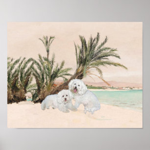 Póster Playa Bichon Frise Palmy