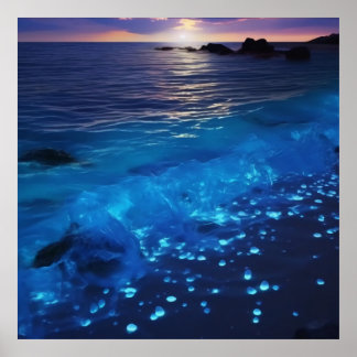 Póster Playa bioluminiscente en aguas brillantes