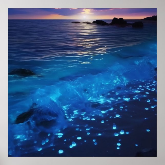 Póster Playa bioluminiscente en aguas brillantes (Frente)