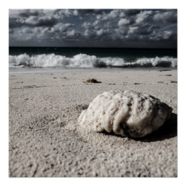 Póster Playa Blanca y Negra