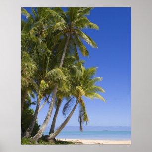 Póster Playa bordeada de palmeras Islas Cook 3