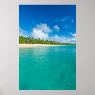 Póster Playa bordeada de palmeras, Tonga