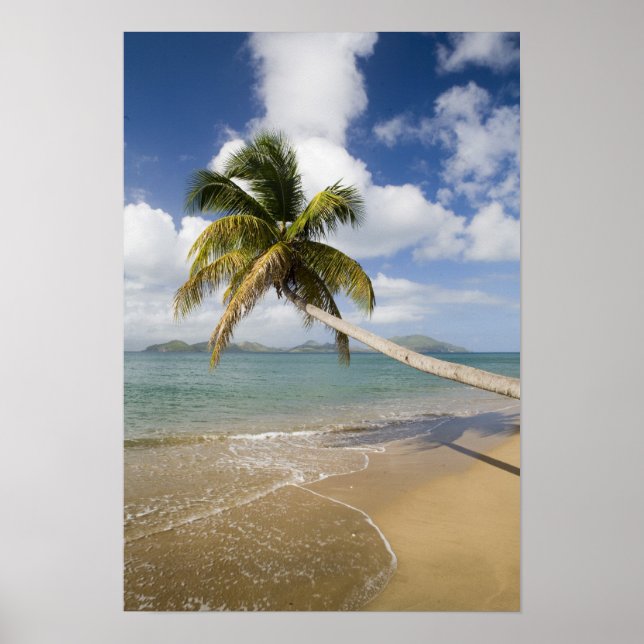 Póster Playa Coconut Grove en Cades Bay, con St. (Frente)