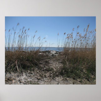 Póster Playa colonial 1