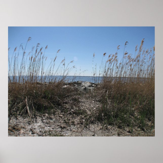 Póster Playa colonial 1 (Frente)