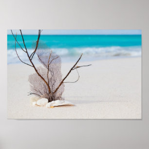Póster playa con concepto de playa y mar belleza caribe a