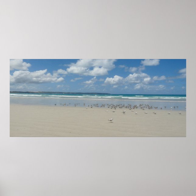 Póster Playa con gaviotas (Frente)