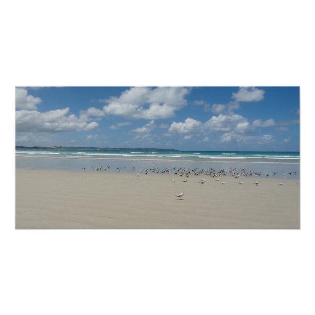 Póster Playa con gaviotas (Anverso)