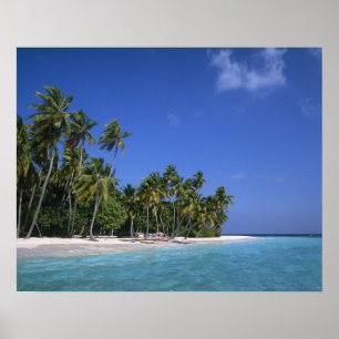 Póster Playa con palmeras, Maldivas