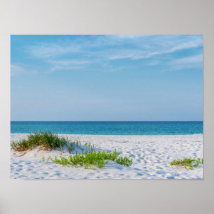 Póster Playa de arena blanca en la costa de Florida