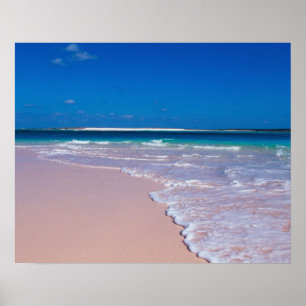Póster Playa de arena rosa en Conch Bay, Isla del Gato,