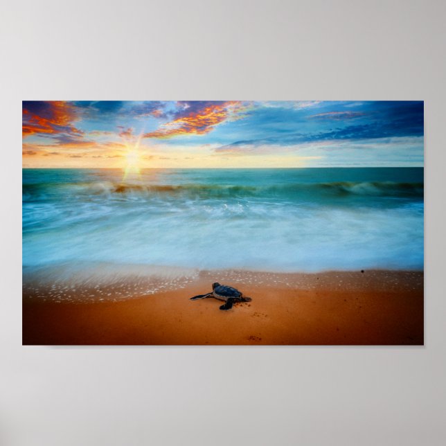 Póster Playa de arena tropical de tortuga marina con sol (Frente)