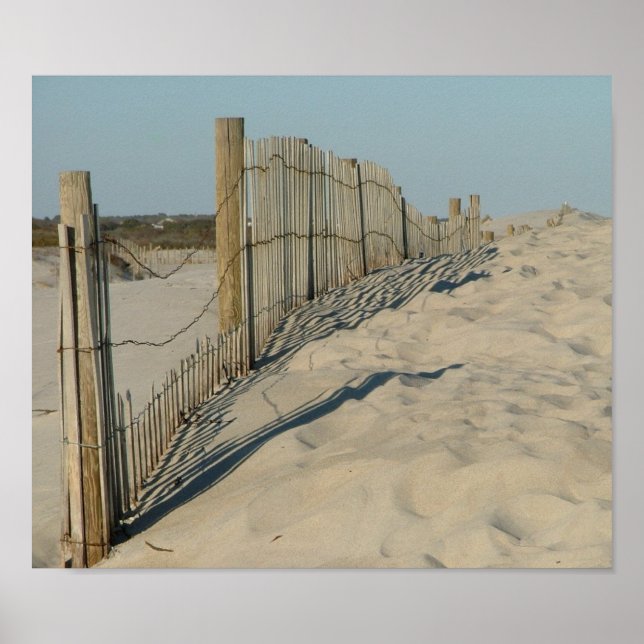 Póster Playa de Assateague (Frente)