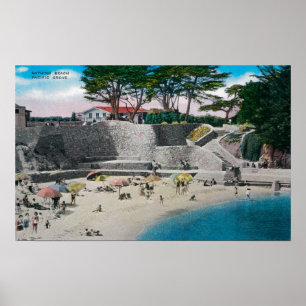 Póster Playa de baño en la arboleda pacífica