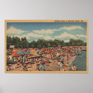 Póster Playa de Beverley, MD - escena que toma el sol