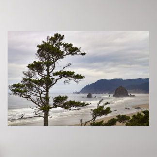 Póster Playa de Cannon con marea baja en el Océano Pacífi