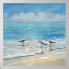 Póster Playa de correlimos océano