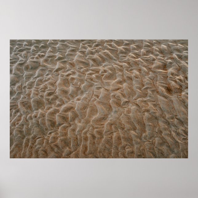 Póster Playa de Daytona (Frente)