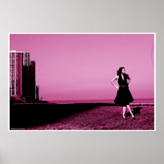 Póster Playa de Edgewater, ill 2006