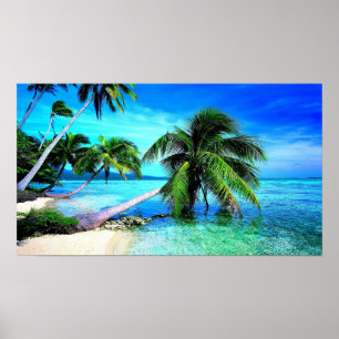 Póster Playa de Isla Tropical Palm Tree