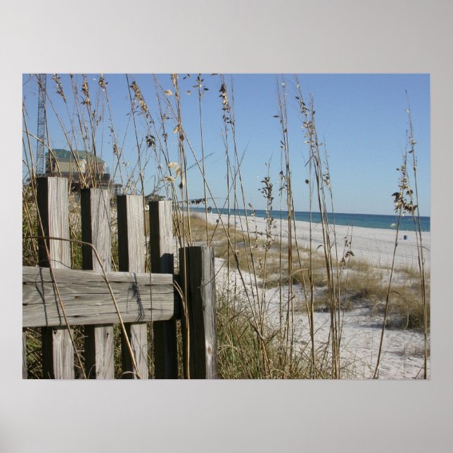 Póster Playa de la Ciudad de Panamá (Frente)