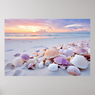 Póster Playa de la costa Tranquila y Tranquila Naturaleza