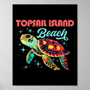 Póster Playa De La Isla De Topsail Nc Artista Turba De Ma